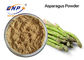 Green Fruit Vegetable Powder Supplement Asparagus Officinalis Stem Extract