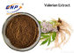 Factory Supply 100% Natural Valeric Acid Valerian Extract