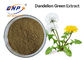 Dandelion Extract flavonoids 2%-5%,10:1 Brown Yellow Powder