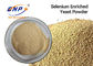 ISO Nutraceuticals Supplements Selenium Enriched Yeast Fine Powder