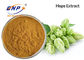 Flavones 10% Natural Plant Extracts Hops Flower Humulus Lupulus Flower