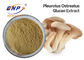 Pleurotus Ostreatus Oyster Mushroom Extract Supplement Polysaccharide 10%