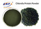 Food Grade Natural Plant Extracts GMP Chlorella Vulgaris Powder