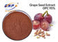 Resveratrol 5% Grape Seed Extract Powder UV Antioxidant