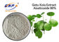 Asiaticoside 80% Centella Asiatica Extract For Skin White Gotu Kola Extract Powder