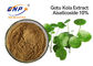 Asiaticoside 80% Centella Asiatica Extract For Skin White Gotu Kola Extract Powder