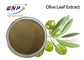 HPLC Brown Yellow Natural Plant Extracts Oleuropein 60% Olive Leaf Extract Powder