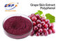 20% Polyphenol Red Grape Skin Extract Vitis Vinifera Sambucus Nigra L.
