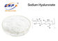 CAS 9004-61-9 Hyaluronic Acid Powder 95% Sodium Hyaluronate
