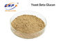 Natural Light Yellow Yeast Beta Glucan 80% Polysaccharides Powder GMP