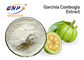 White Fine Powder Natural Plant Extracts Hydroxycitric Acid 50% 60% Garcinia Cambogia Extract