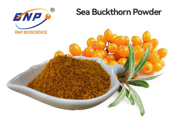 Light Yellow Fruit Vegetable Powder Supplement Hippophae Rhamnoides Sea Buckthorn Juice Powder