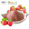 Water Soluble Strawberry Juice Powder Strawberry Powder