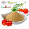 Pharmaceutical Industry Acerola Cherry Powder Vintamin C 10% GMP Certified