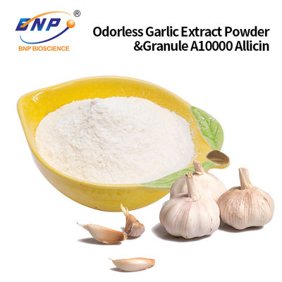 Odorless Garlic Extract Powder & Granule A10000 Allicin Customized Accepted