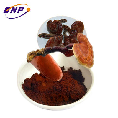 Stable Natural Plant Extracts Powder
