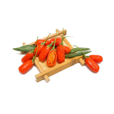Powder Plant-Derived Herbal Extracts for B2B 