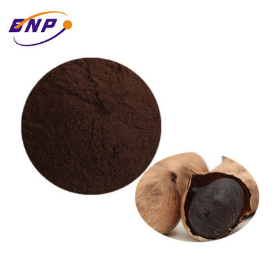 Single Head Black Garlic Extract Powder Fermented